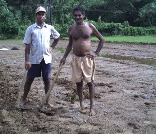 Monsoon Fields