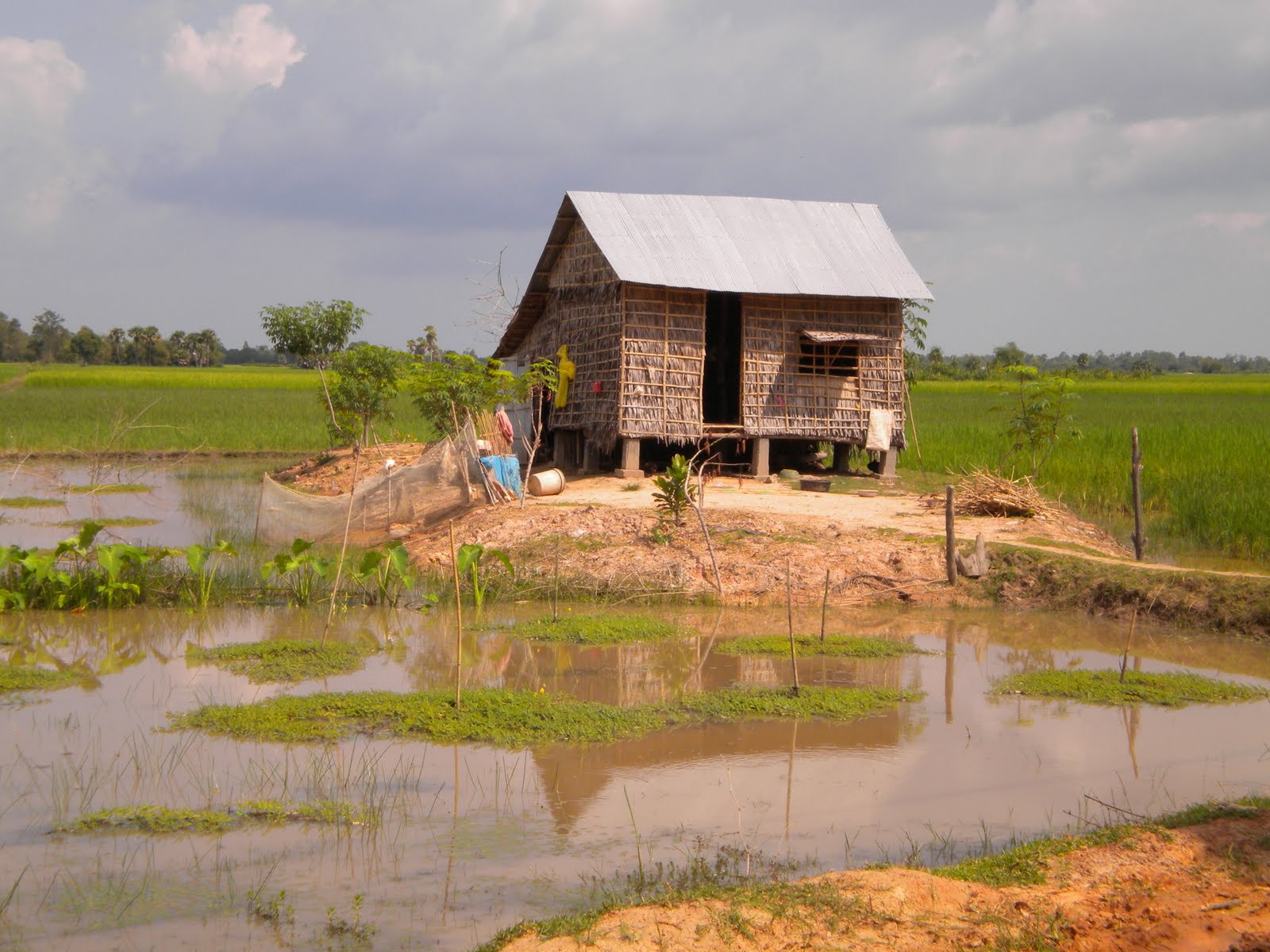 Kristin in Cambodia: Houses in Cambodia