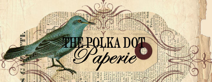 Polka Dots Paperie