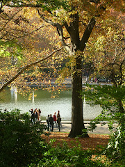 Sailboat Races in Central Park