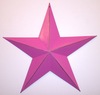 [hot+pink+barn+star_thumb.jpg]