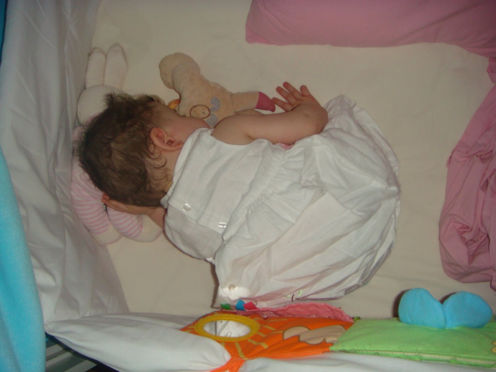 [DSC07520.JPG]