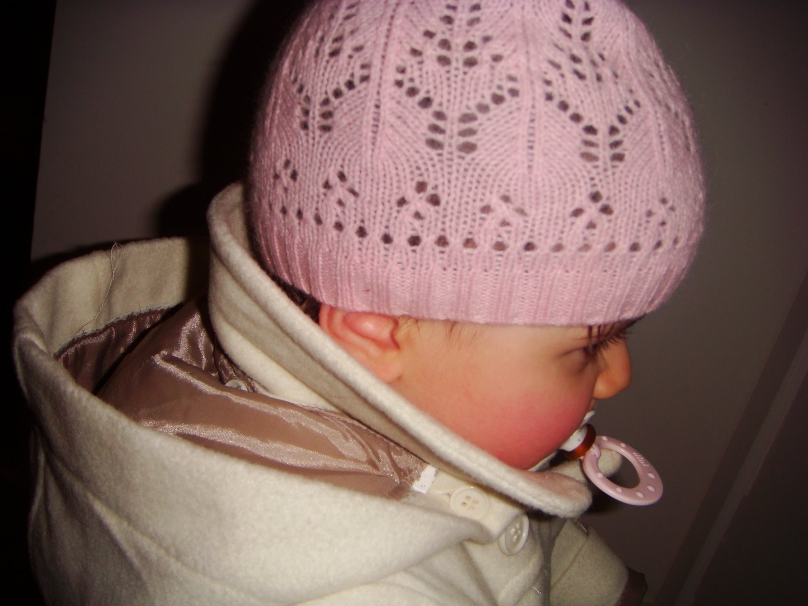 [DSC08003.JPG]