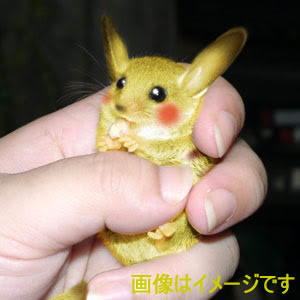 Pika-Awesome