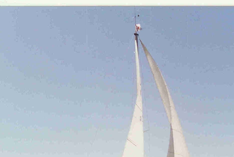 Bobbing and Sailing For Sale 1978 Neptune 24 sailboat By Capital