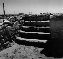 Las excavaciones en 1950