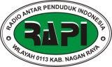LOGO RAPI