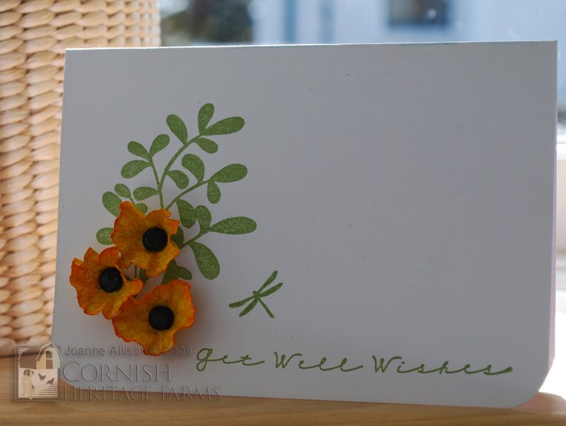 [cursiveGetWell.jpg]