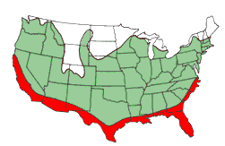 map of drywood termites in the US