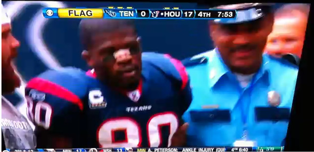 Cortland Finnegan and Andre Johnson Fight during the Texans vs. Titans game on November 28th 2010. Both players were charged with personal fouls and ejected