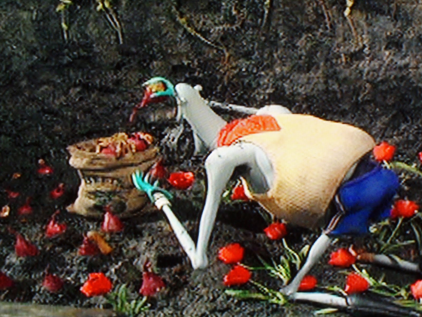 Becca Blue PICKED Fleurs on Film Coraline