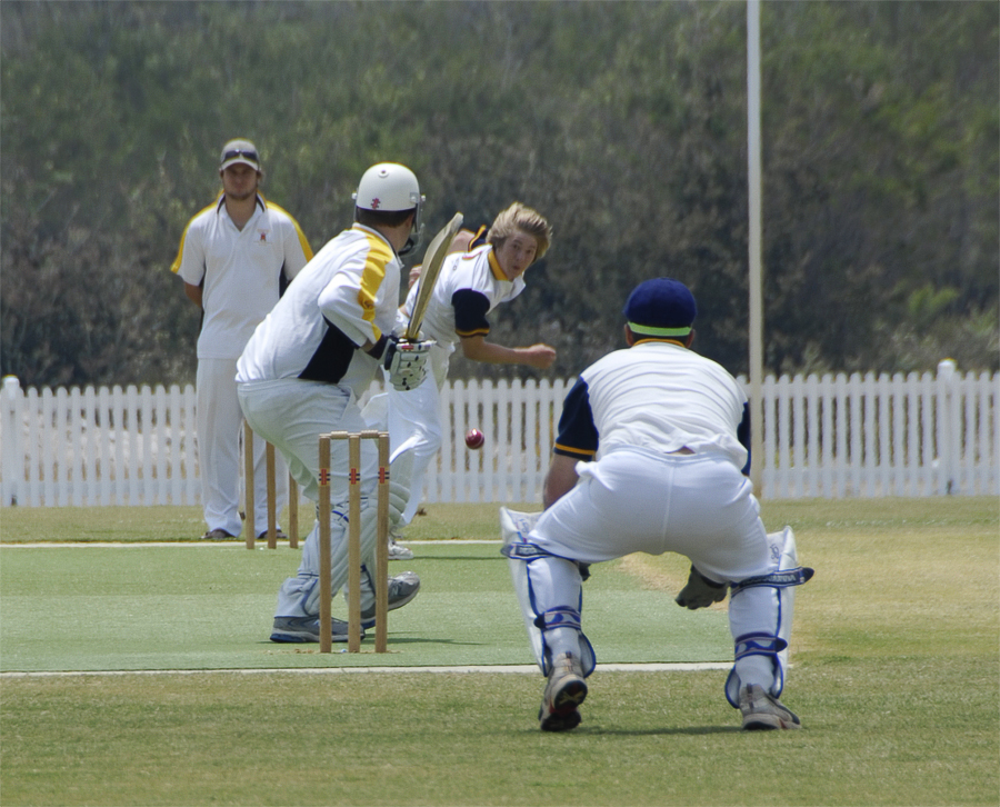 [cricket2.jpg]