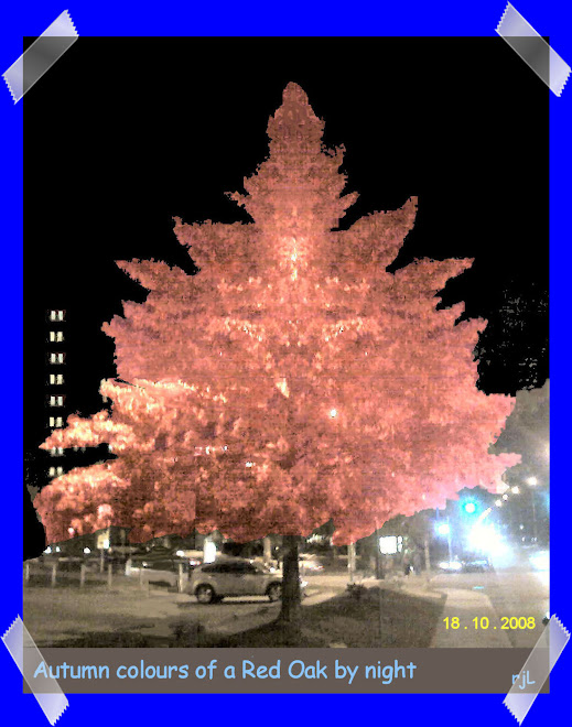 <em>Custom photography</em>
