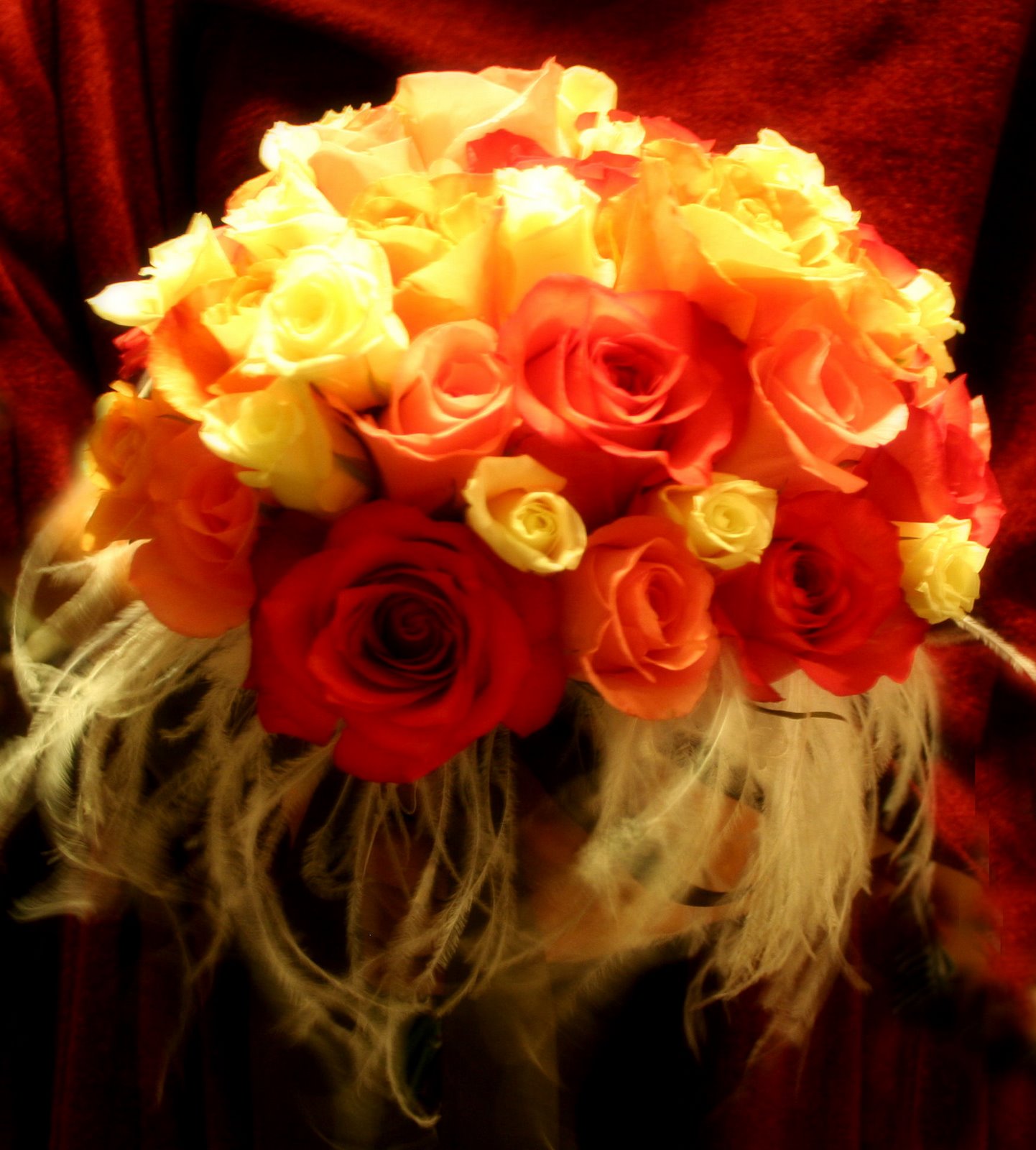 [20080606_0590edit.jpg]