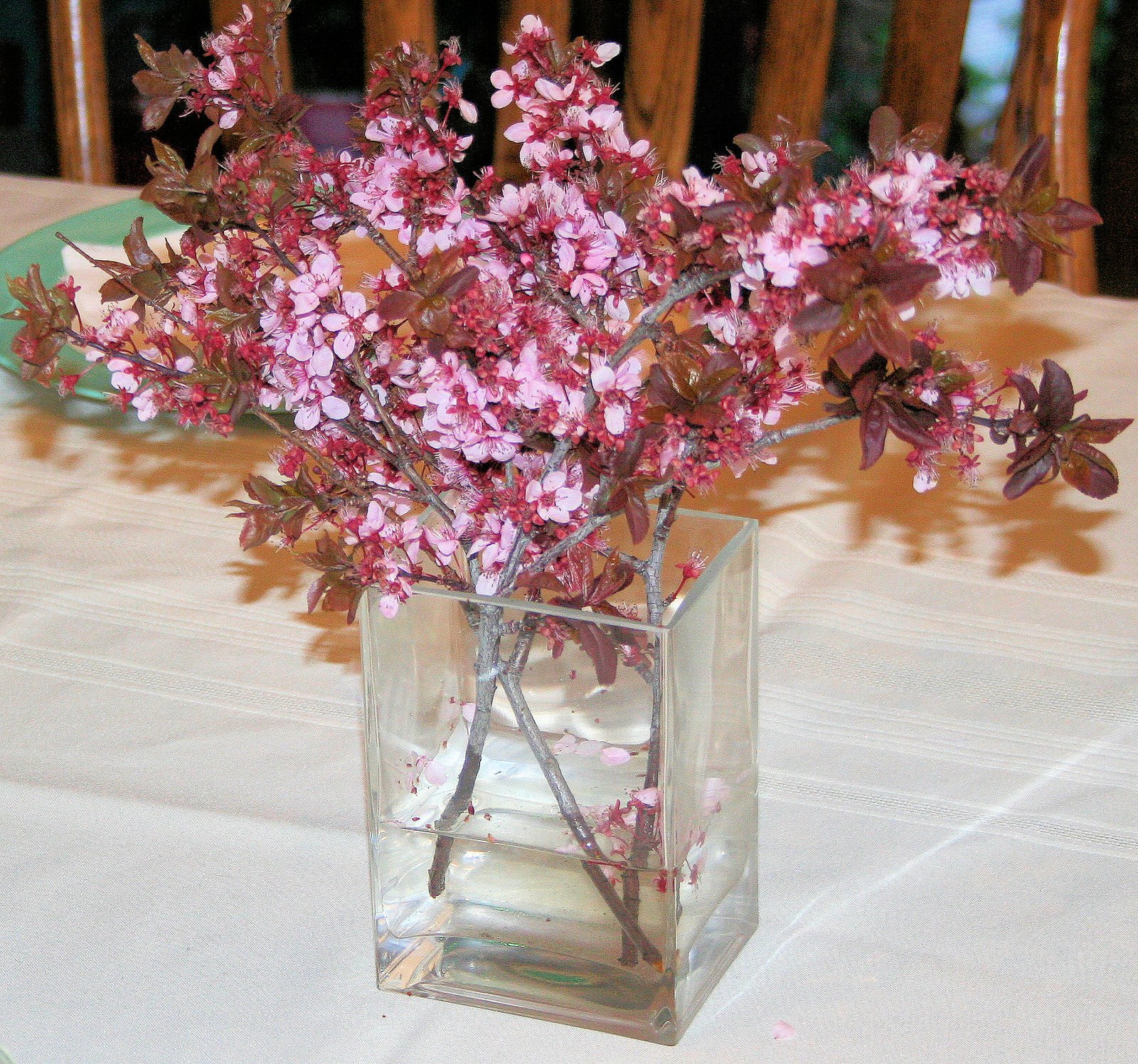 [20090323_1232b.jpg]