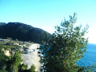 DSCF1282
