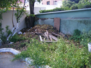 DSCF2469