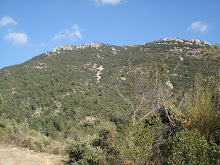 Le Lataye (Var)