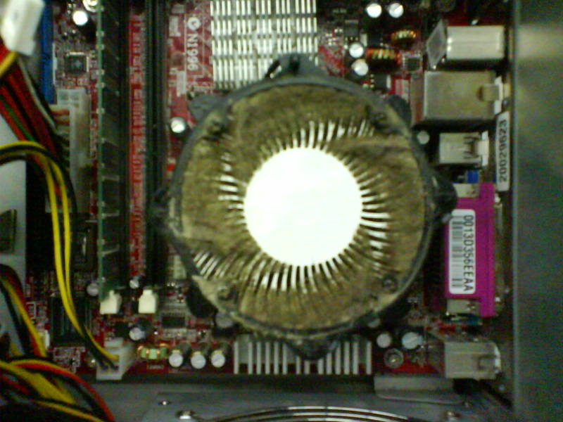 [image-upload-163-711912.jpg]