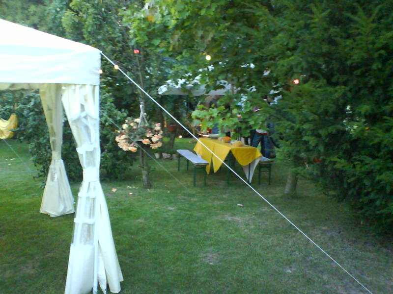 [image-upload-21-726649.jpg]