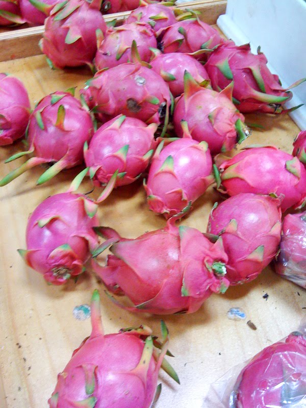 [dragonfruit.jpg]