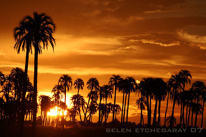 el palmar, entre rios, national park