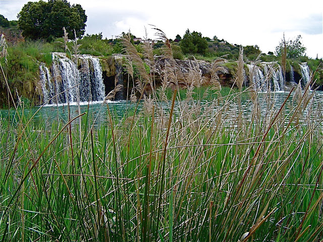 [DSC01382.JPG]