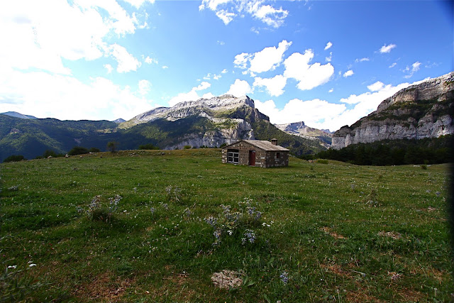 [IMG_2548.JPG]