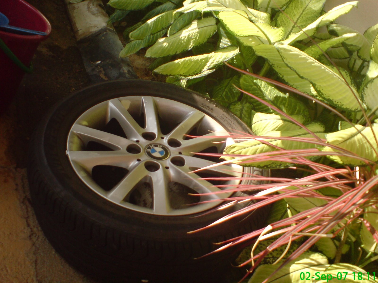 [DSC00323.JPG]
