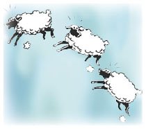 [sheep.jpg]