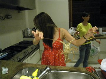 [IMG_2227.jpg]
