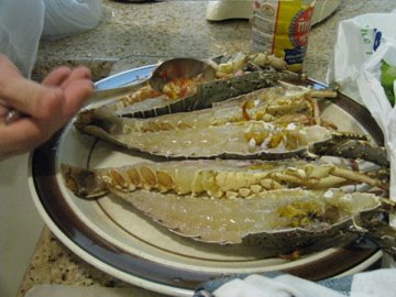[IMG_2235.jpg]