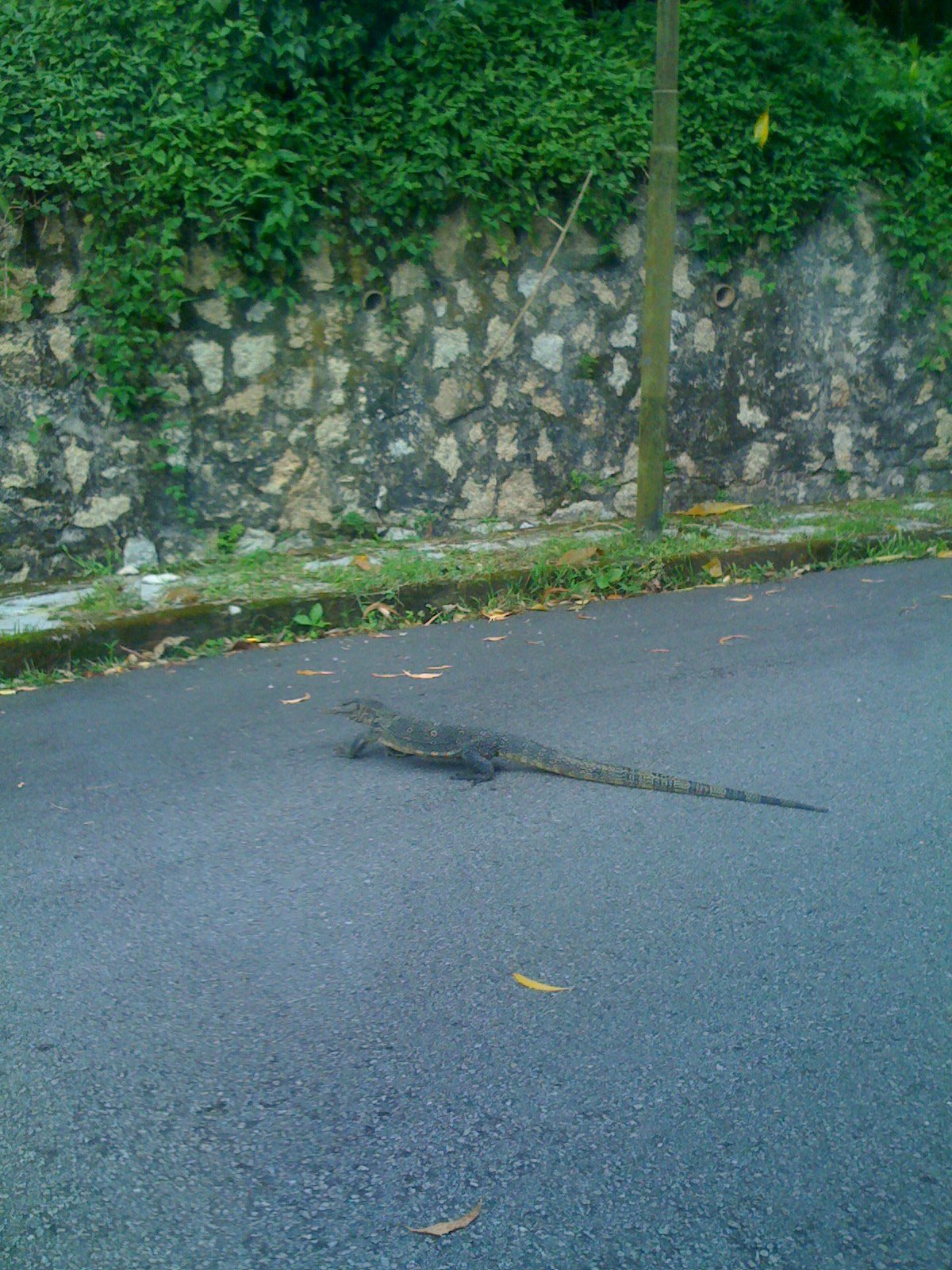 [IMG_0063.JPG]