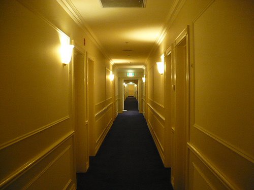 [2563681537_1e5d43d1e4-1.jpg]