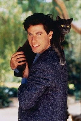 celebrity cats celebrity cats