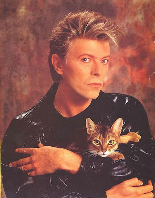 celebrity cats
