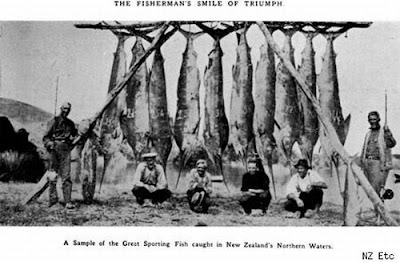 fish dream catch fisherman enormous caught amazing extraordinary biggest fishermans izismile funny