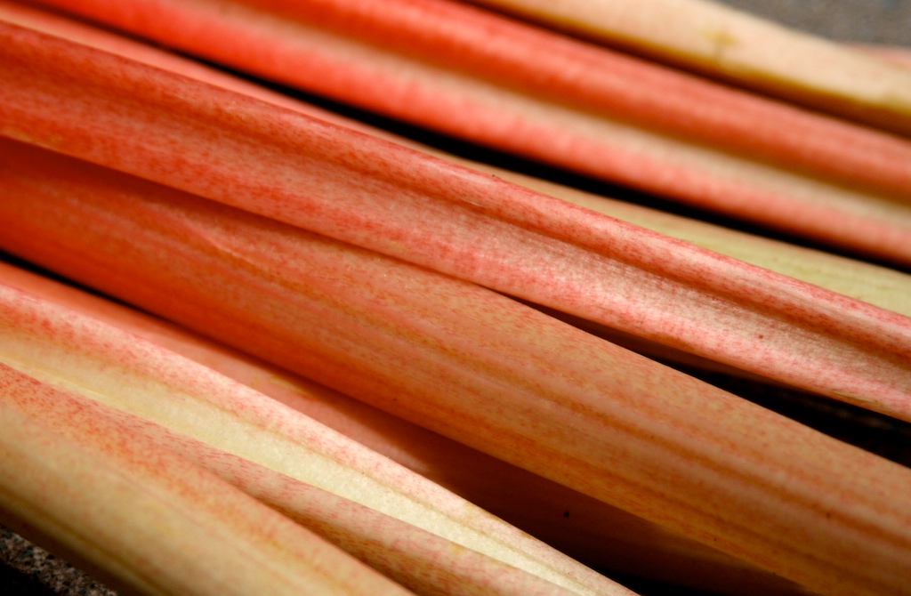[Rhubarb.jpg]