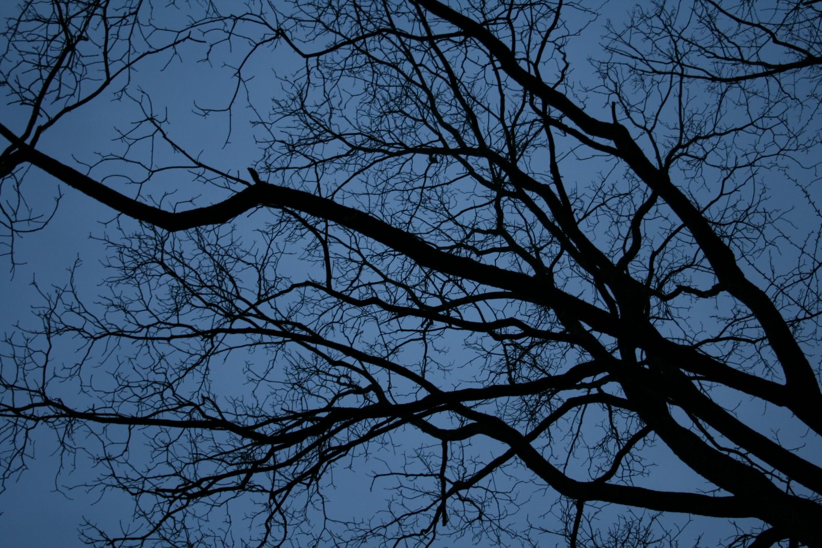 [IMG_0398.JPG]