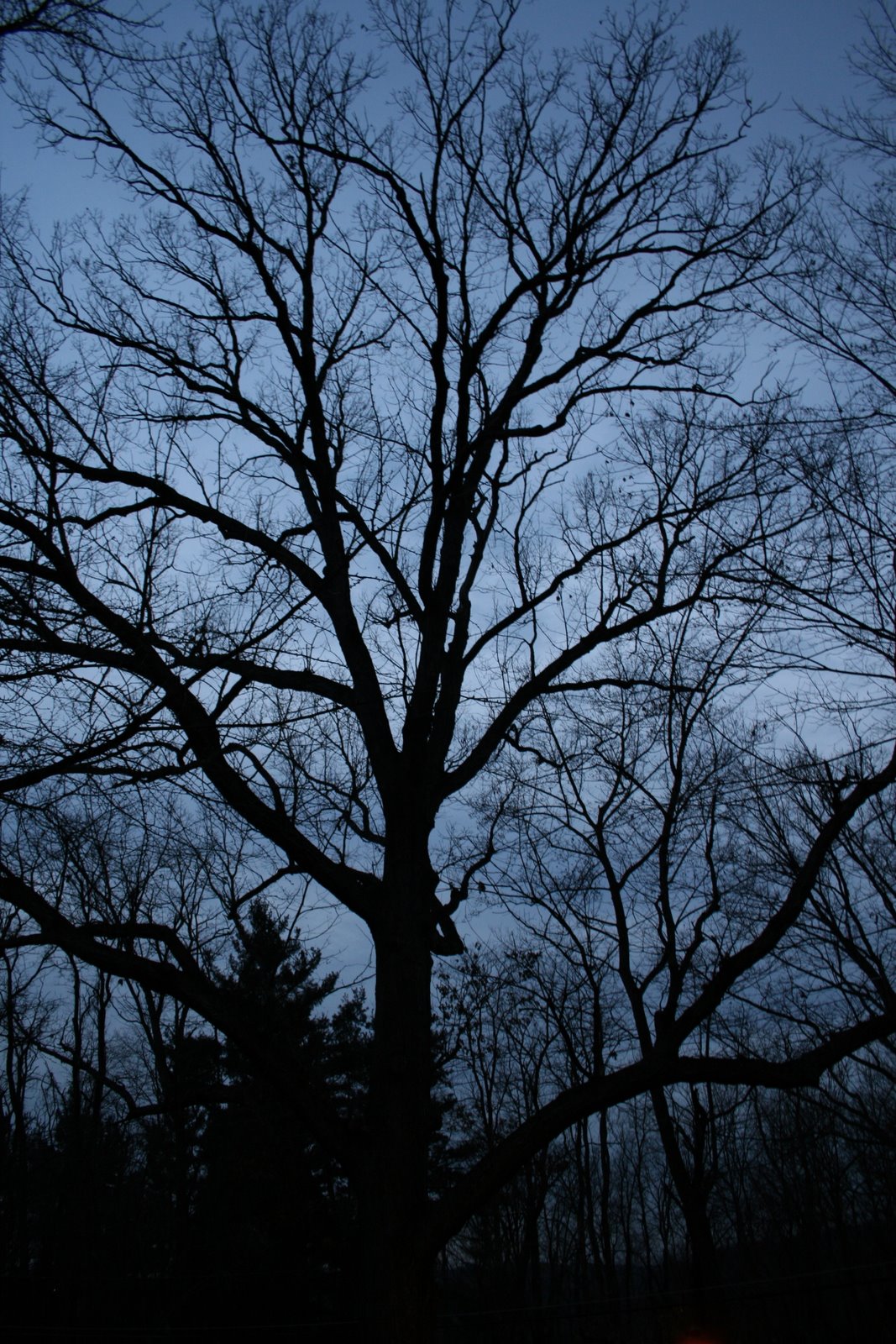[IMG_0407.JPG]