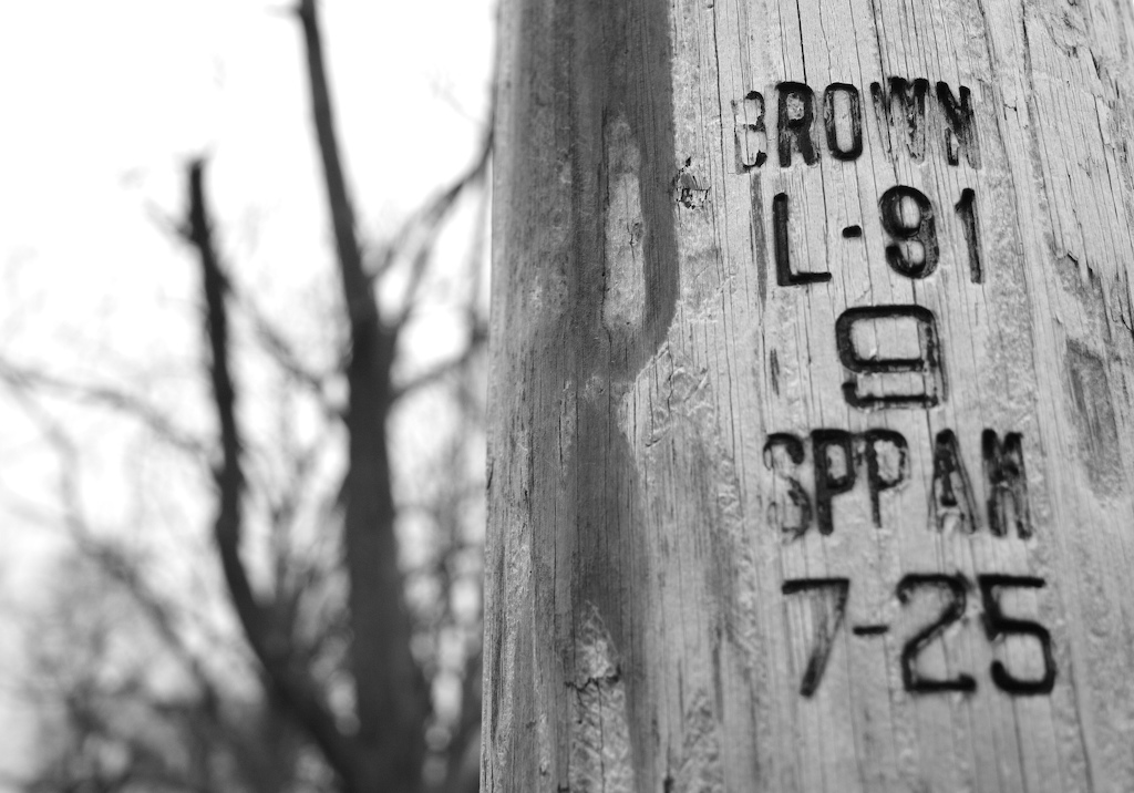 [Pole011807+(1).jpg]