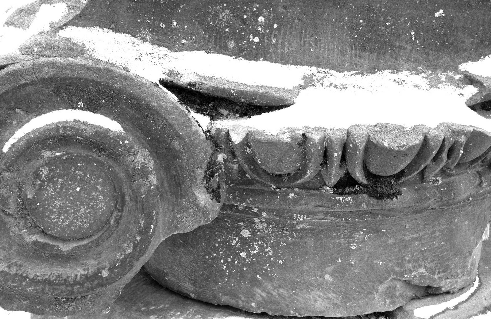 [Column011907.jpg]