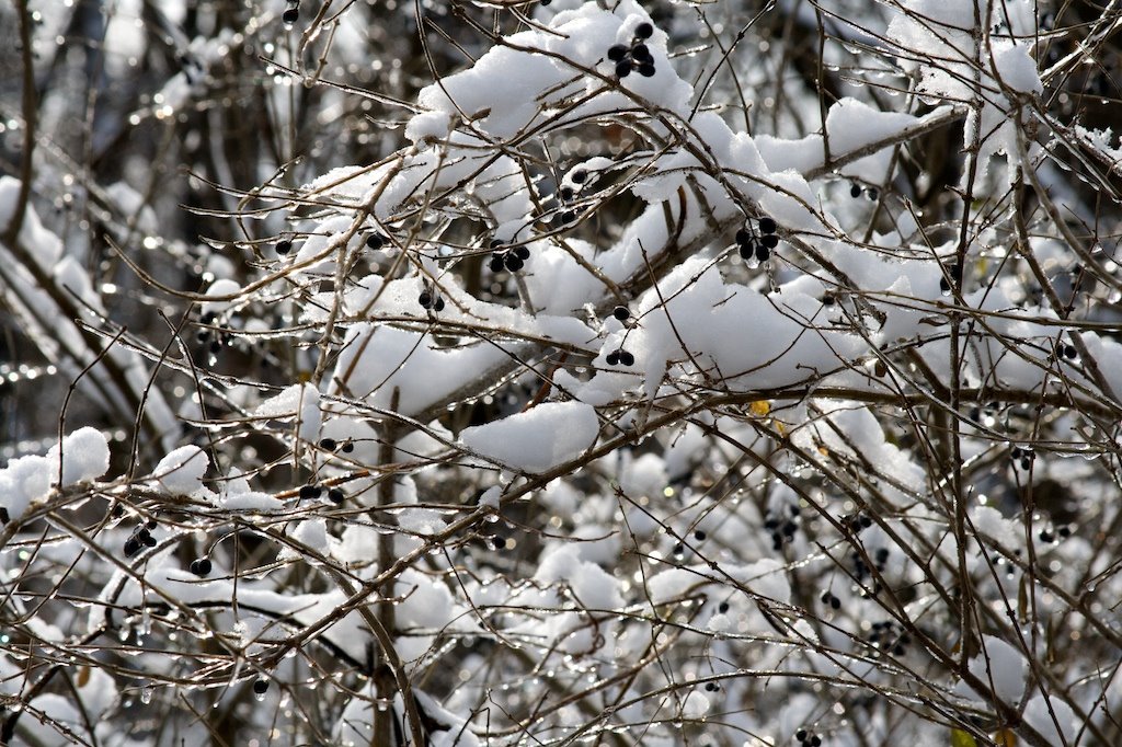 [ice+and+snow.jpg]