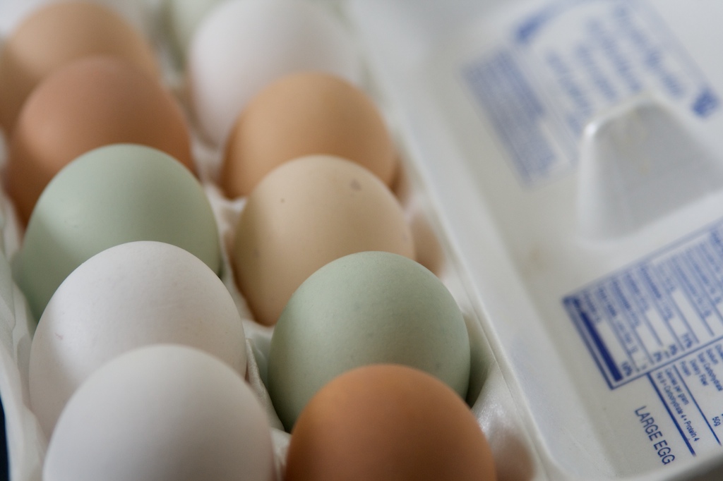 [eggs.jpg]