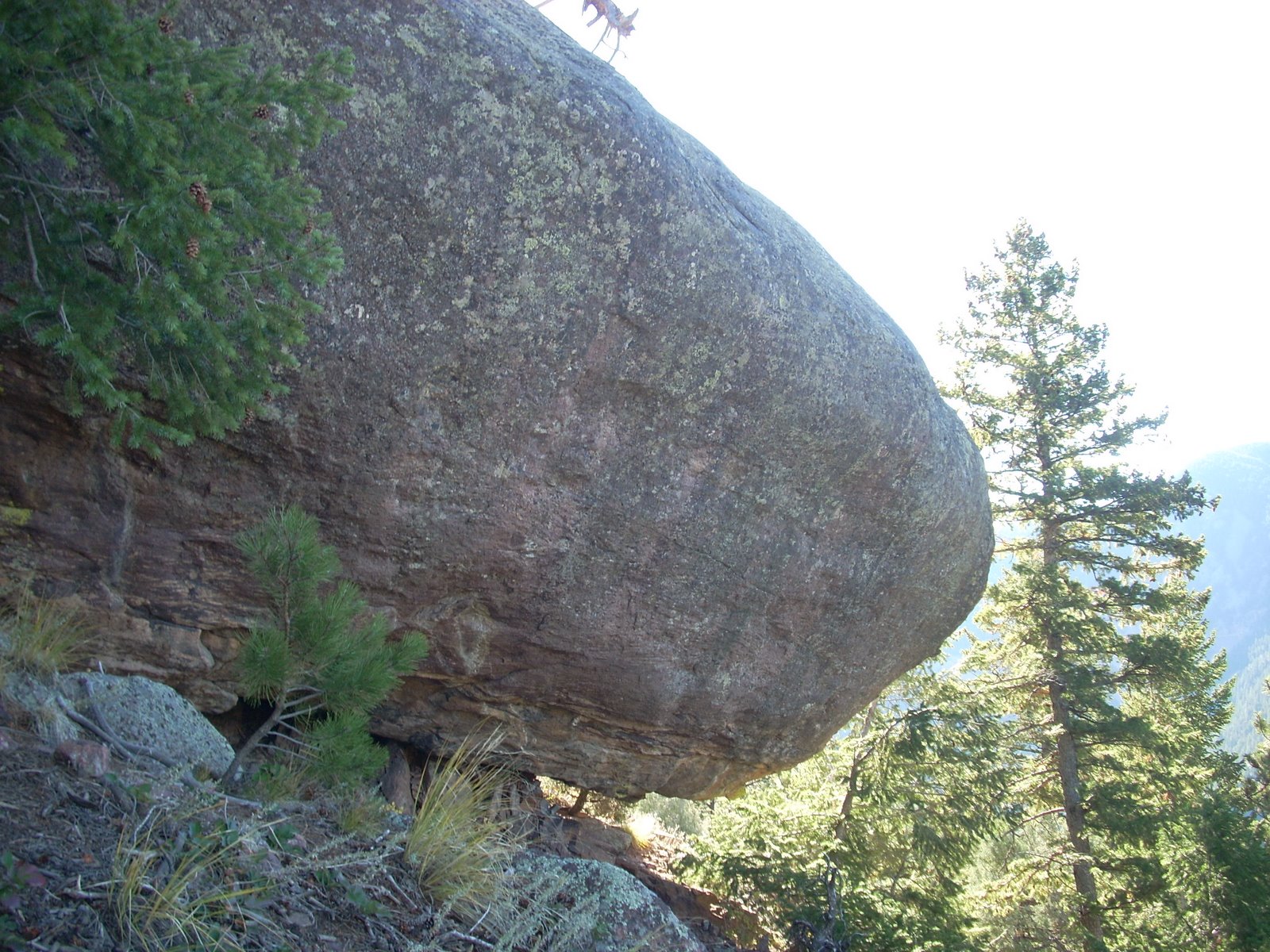 [DSCN0446.JPG]