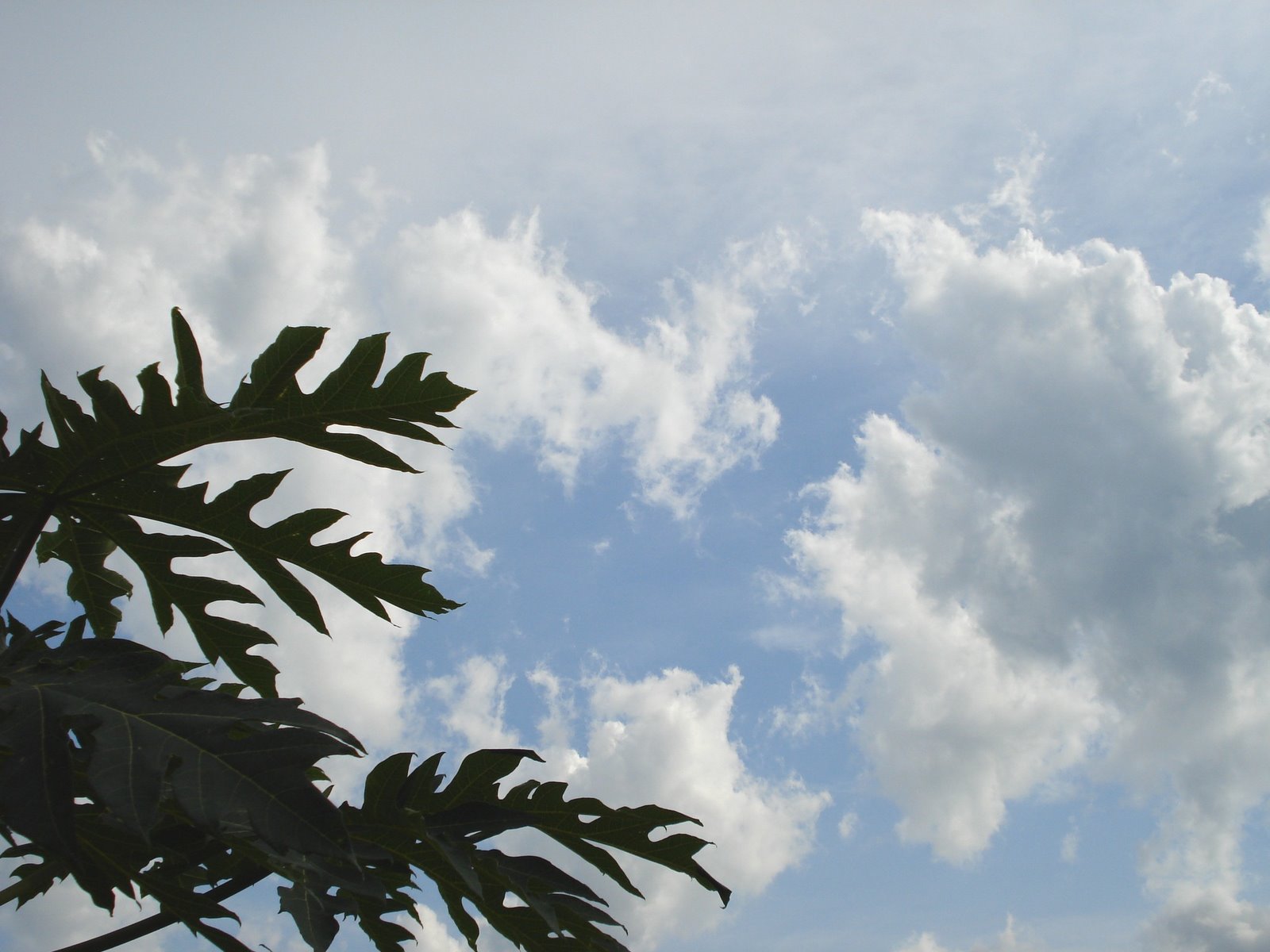 [DSC00846.JPG]