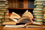LA BIBLIOTECA