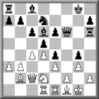 Johansen, Sverre and Johannes Sen, Leif - The Ruy Lopez. A Guide