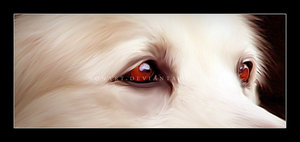 [Wolf_by_nonart.jpg]
