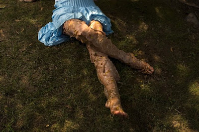 Alison Brady Photography